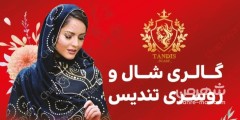 گالری تندیس