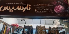 نارسیس