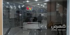 چارتیست
