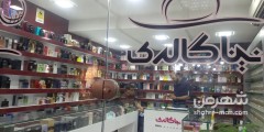 نینا گالری